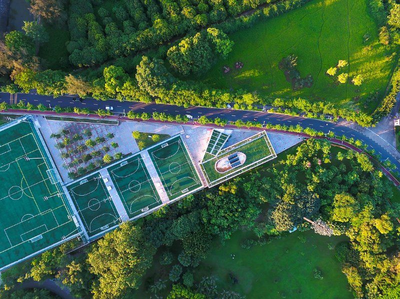 孫 + 黃洪安 羅湖體育公園.jpg