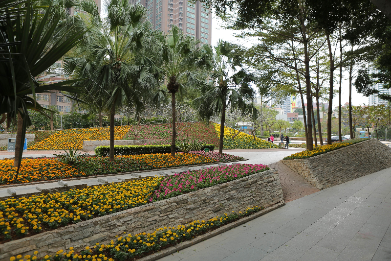 花城建設(shè)-嘉賓公園10.jpg