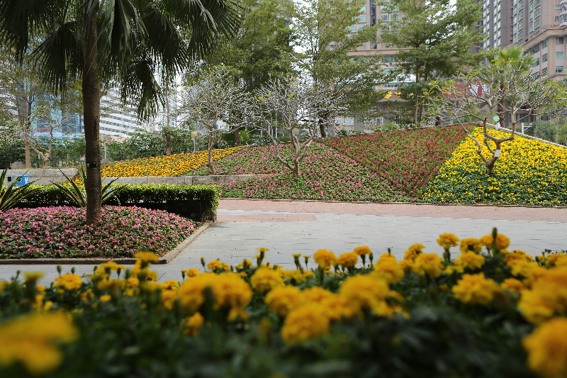 花城建設(shè)-嘉賓公園3.jpg