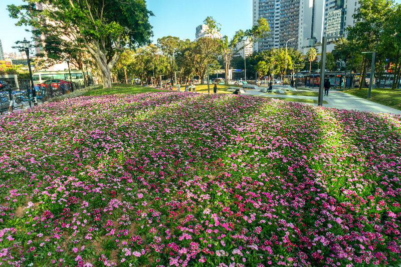 時(shí)代社區(qū)公園-02.jpg